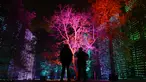Pengunjung melihat instalasi cahaya yang berjudul 'Waterfalls' pada sesi pemotretan di Kew Gardens, London, Selasa (19/11/2019). Pemasangan lampu tersebut untuk menyambut Natal dan peluncuran acara "Christmas at Kew Gardens". (Daniel LEAL-OLIVAS / AFP)