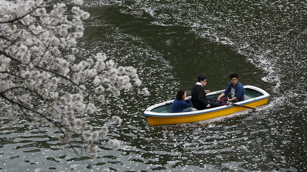 20160404-Pohon-Sakura-Jepang-Reuters