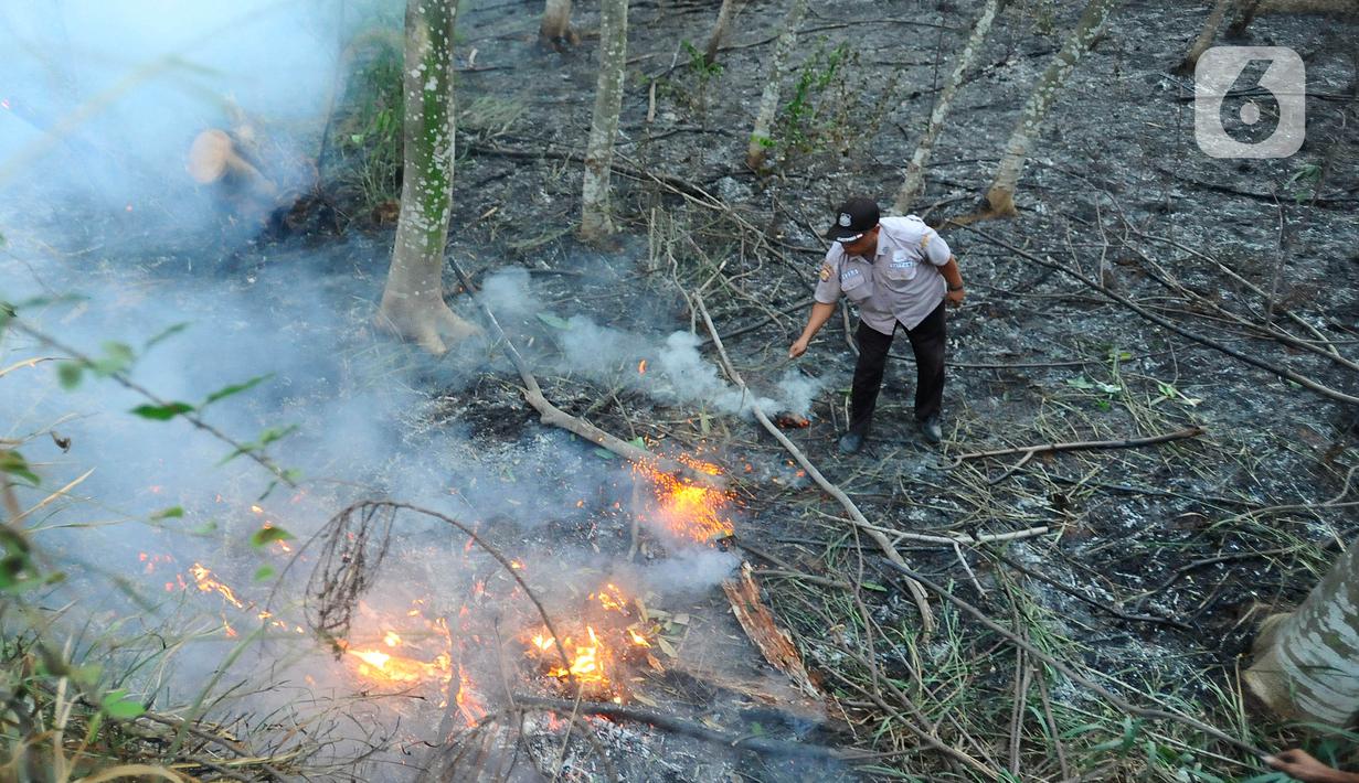 Kondisi ranting dan rumput yang kering juga diduga memicu munculnya api. (merdeka.com/Arie Basuki)