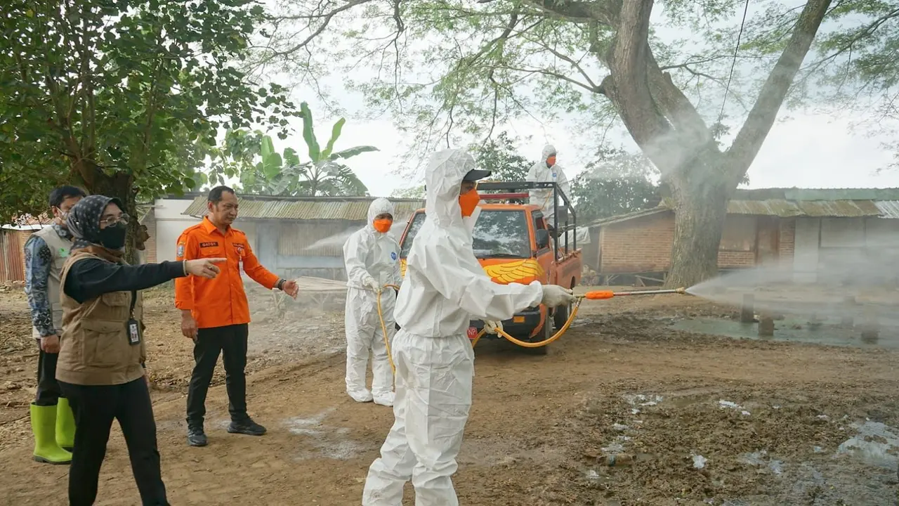 Petugas menyemprot disinfektan untuk mencegah penyebaran PMK. (Istimewa)