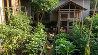 9 Tata Letak Halaman Produktif untuk Kebun dan Ternak agar Panen Sepanjang Tahun