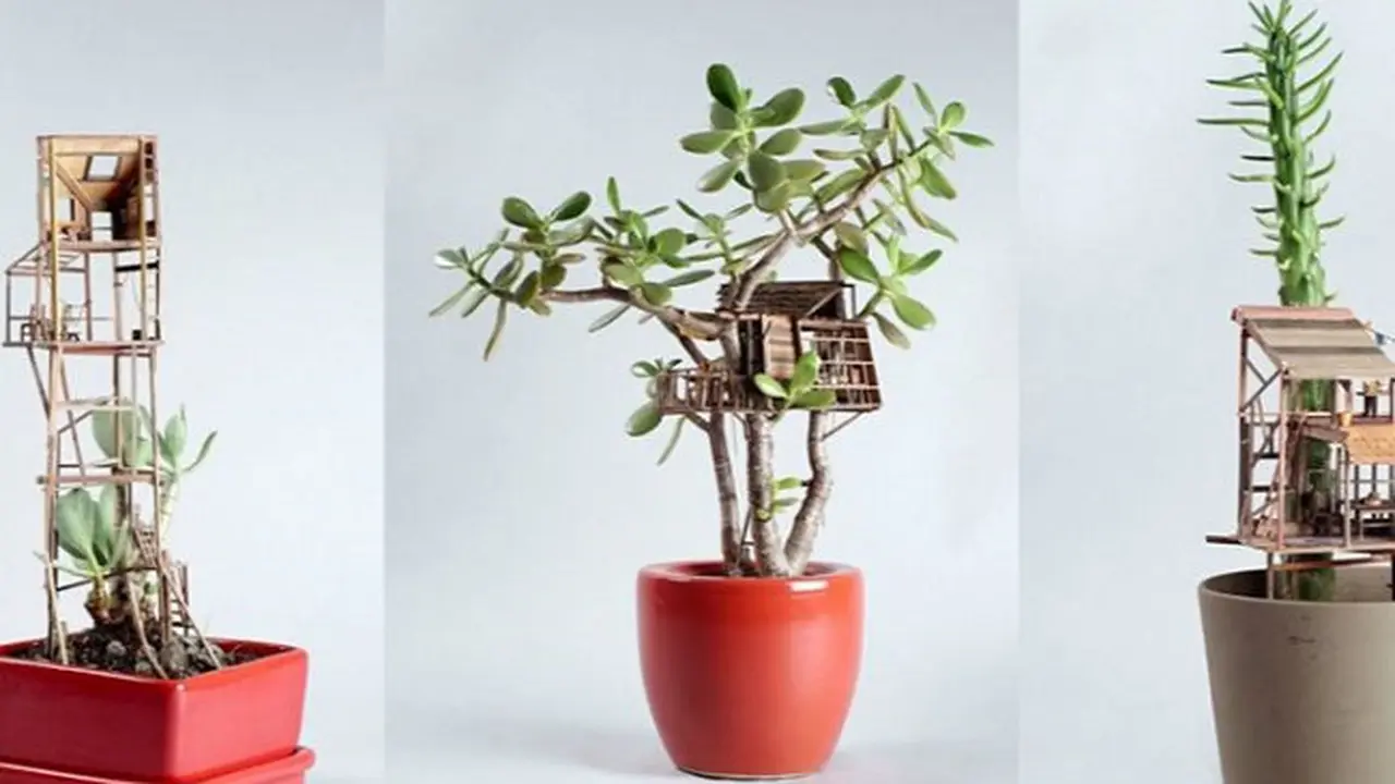 Ingin Punya Rumah Pohon? Mulailah dari Miniaturnya