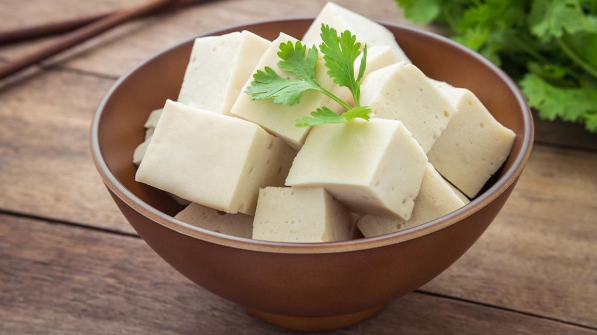 8 Cara Menyimpan Tahu agar Tidak Asam dan Tetap Segar