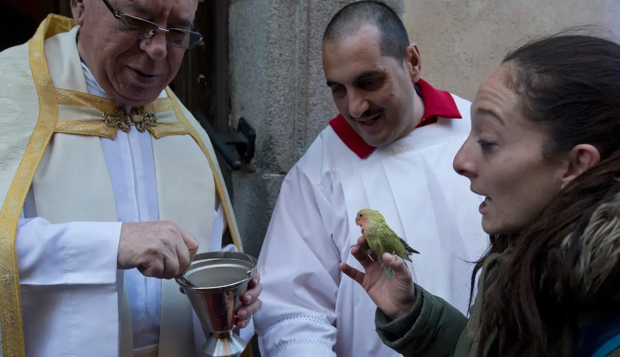 Pastor memberkati seekor burung peliharaan pada peringatan Hari santo Antonius di gereja Saint Pablo, Spanyol, Rabu (17/1). Pemberkatan hewan peliharaan ini sudah ada sejak abad ke-19 di Madrid, Kepulauan Balearic dan Burgos. (AP/Alvaro Barrientos)