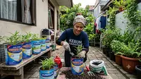 Cara Menanam Kangkung di Toples Bekas Susu Bubuk, Hemat dan Ramah Lingkungan