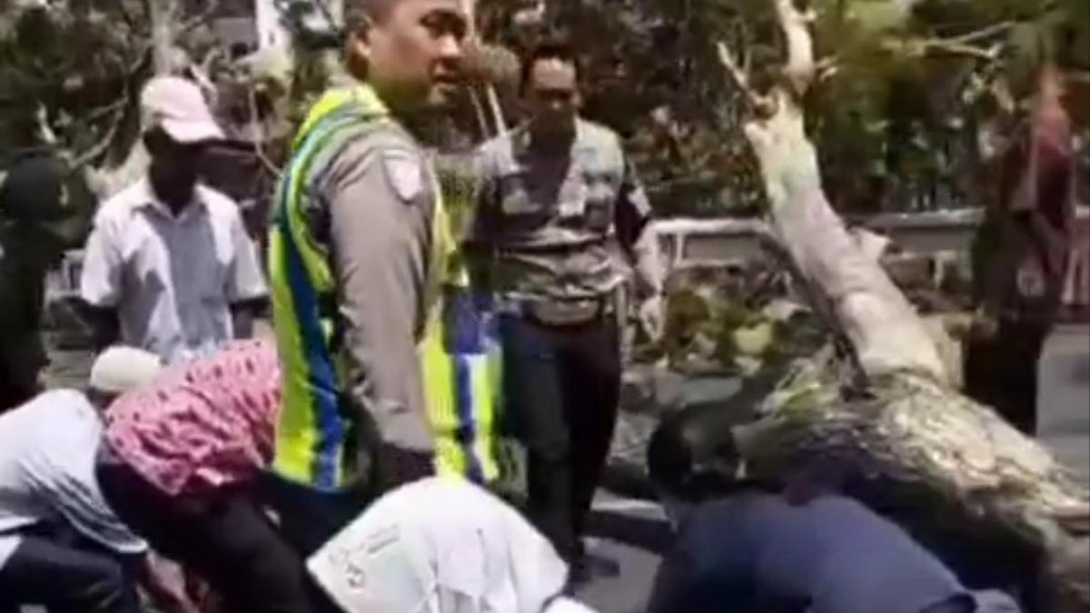Sosok Dua Pengendara Korban Pohon Tumbang di Semarang