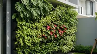 Apa Saja Tanaman yang Paling Bagus untuk Kebun Vertikal? Ini Panduan Lengkapnya