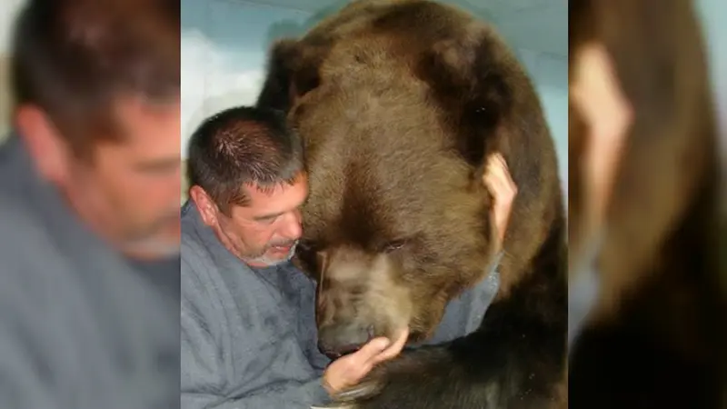 Ngeri. Pria Ini Asik Bercanda dengan Beruang Seberat 680 Kilogram