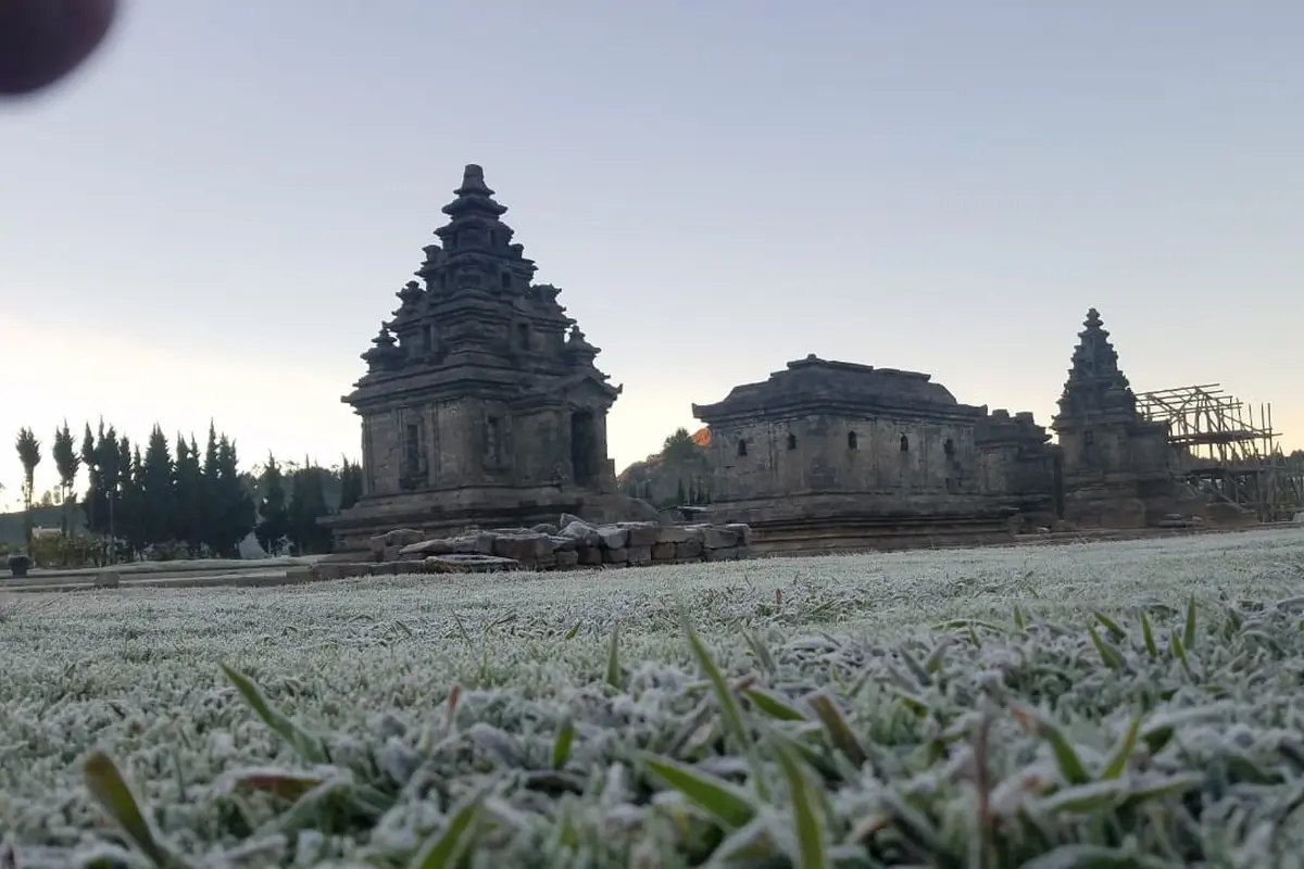 Fenomena Embun Es di Dataran Tinggi Dieng. (Foto: Liputan6.com/UPT Dieng/Muhamad Ridlo)