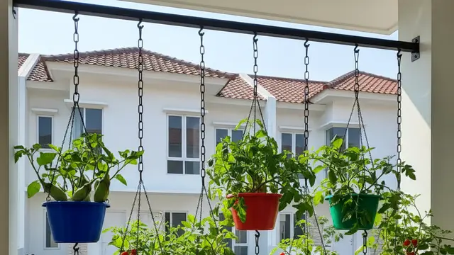 Desain Kebun Sayur Aman dan Bersih di Perumahan. Gemini
