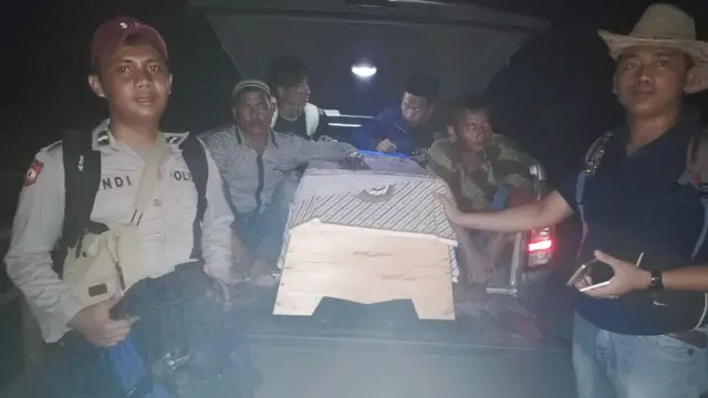 Bertarung 15 Menit, Karyawati Kebun Sawit Takluk Diterkam Harimau