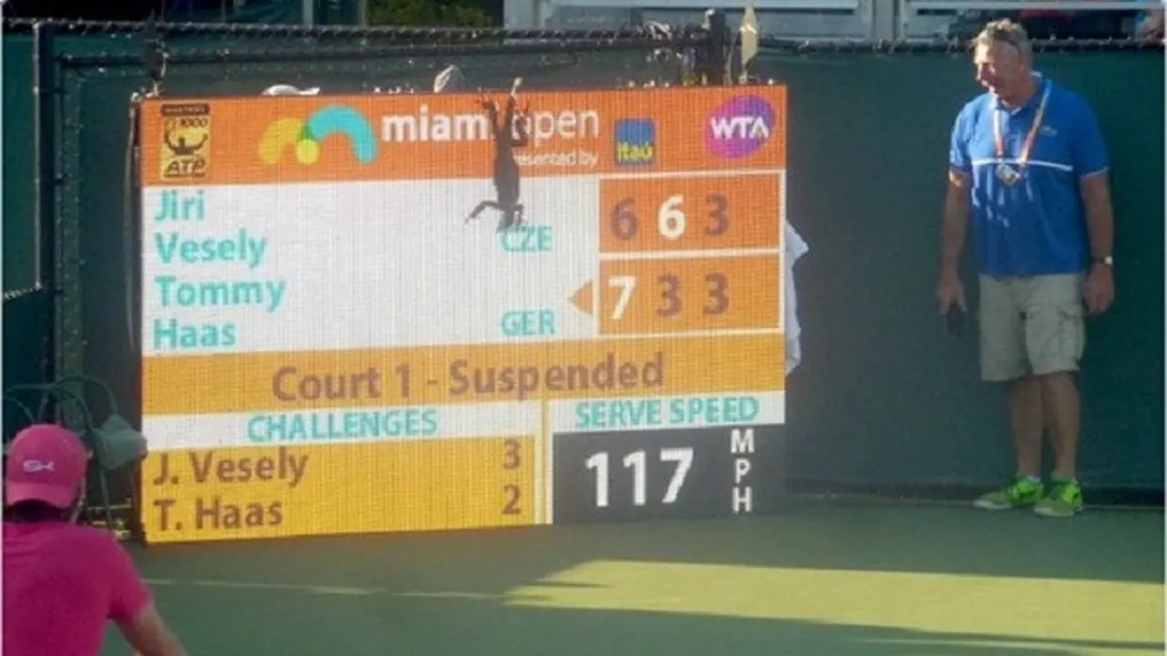 Iguana Miami Open
