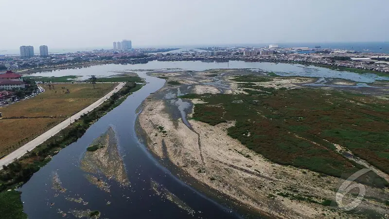 Begini Penampakan Waduk Pluit yang Mengering