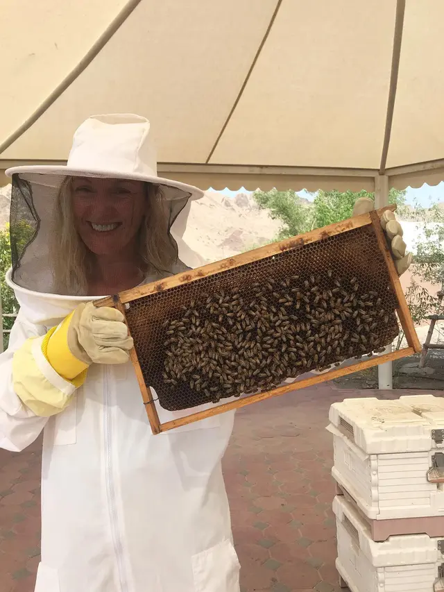 Ilustrasi Hatta Honeybee Farm/Dubai