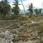 Lokasi likuefaksi atau tanah bergerak di Palu, Sulawesi Tengah. (Liputan6.com/Nanda Perdana Putra)