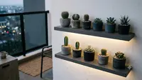 8 Jenis Kaktus Mini untuk Hiasan Ruangan, Bentuknya Unik dan Mudah Dirawat