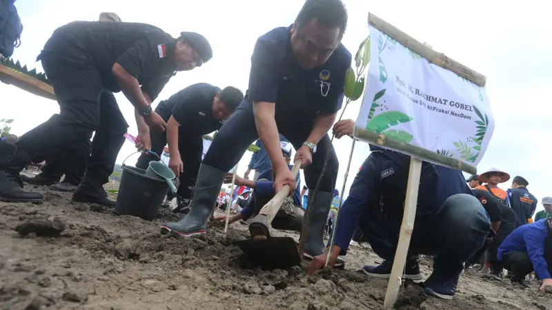 Nasdem Jawa Timur menggelar aksi Kenduri (Kendalikan, Lindungi, dan Lestarikan) Bahari dengan menanam ribuan pohon mangrove. (Dian Kurniawan/Liputan6.com)