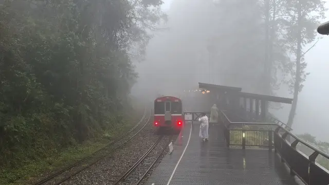 Kereta di Hutan Alishan. (Foto: Liputan6.com/Agustina Melani)