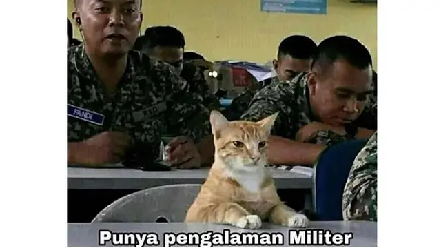 Kucing Oranye (Sumber: Instagram/meme.comik.indonesia)