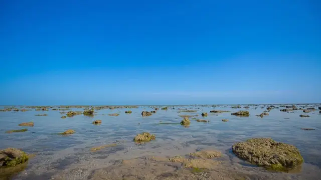 Narara Marine National Park