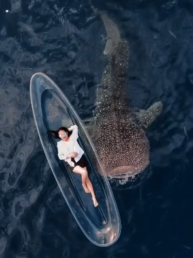 Prilly Latuconsina (Instagram/prillylatuconsina96)