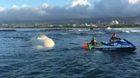 Pihak berwenang mencoba menderek bangkai ikan paus yang terapung di pantai, yaang berbentuk seperti buih. (Kredit: Hawaii Department of Land and Natural Resources)
