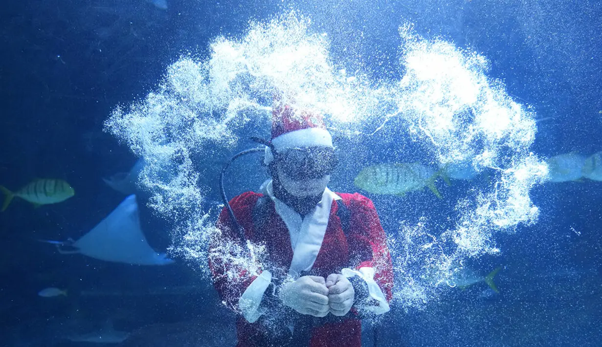 Seorang penyelam berpakaian Sinterklas tampil pada acara untuk mempromosikan liburan Natal di Coex Aquarium, Seoul, Korea Selatan, Jumat (3/12/2021). Natal adalah salah satu hari libur terbesar yang dirayakan di Korea Selatan. (AP Photo/Ahn Young-joon)