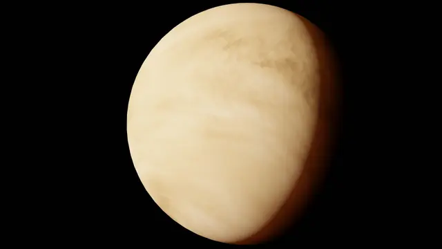 Jangan Hanya Melihat Zodiak Matahari, Venus Sign Juga Menggambarkan Kehidupan Asmara