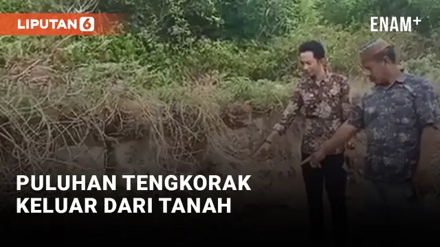 Puluhan Tengkorak Keluar dari Tanah Usai Diterjang Abrasi