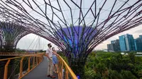 Orang-orang mengunjungi OCBC Skywalk Supertree Grove pada hari pertama pembukaan kembali lokasi wisata tersebut di Gardens by the Bay Singapura pada 7 September 2020. (Xinhua/Then Chih Wey)