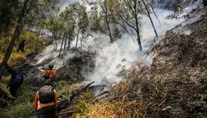 Kebakaran Bromo Diduga Akibat Human Error, Ini Kata Menko Polkam