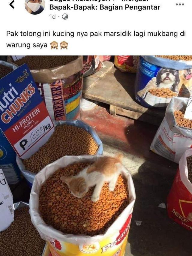 7 Potret Kelakuan Absurd Warga Facebook Ini Bikin Geleng Kepala