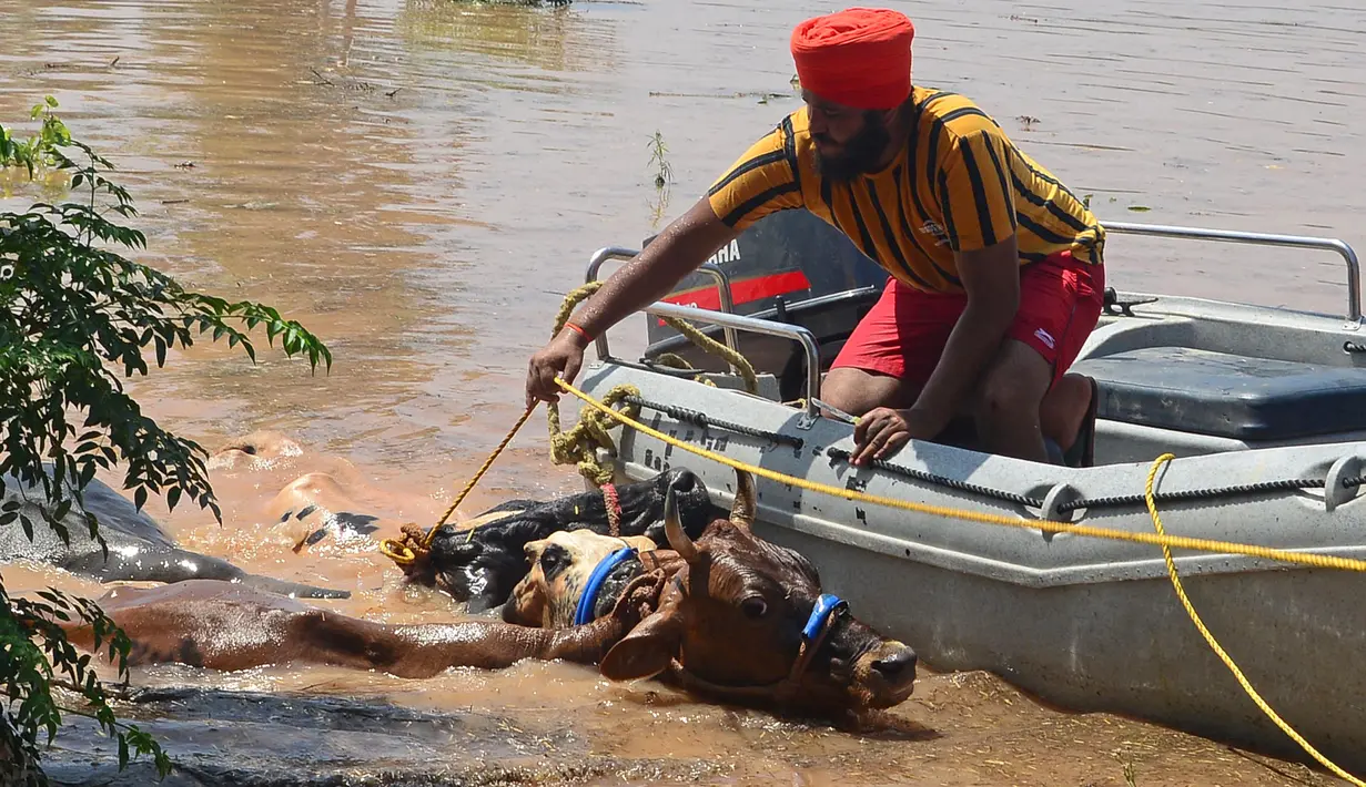 Banjir dan tanah longsor menyebabkan kerusakan yang meluas selama musim hujan yang berbahaya di India, tetapi para ahli mengatakan perubahan iklim meningkatkan frekuensi dan tingkat keparahannya. (AFP/Shammi Mehra)