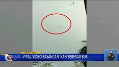 Perbarui informasi Anda bersama Fokus (20/05) dengan berita-berita di antaranya, Penyelamatan KM Sirimau, Calon Jemaah Haji Gagal Berangkat, Kepala Ikan Manyung Kuah Mangut.