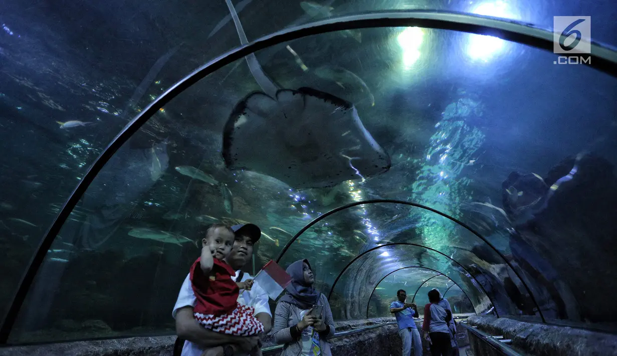 Pengunjung mengamati ikan-ikan di akuarium SeaWorld Ancol, Jakarta, Jumat (17/8). Seaworld menjadi tempat wisata alternatif warga saat libur panjang akhir pekan ini yang bertepatan dengan HUT ke-73 Republik Indonesia. (Liputan6.com/Faizal Fanani)
