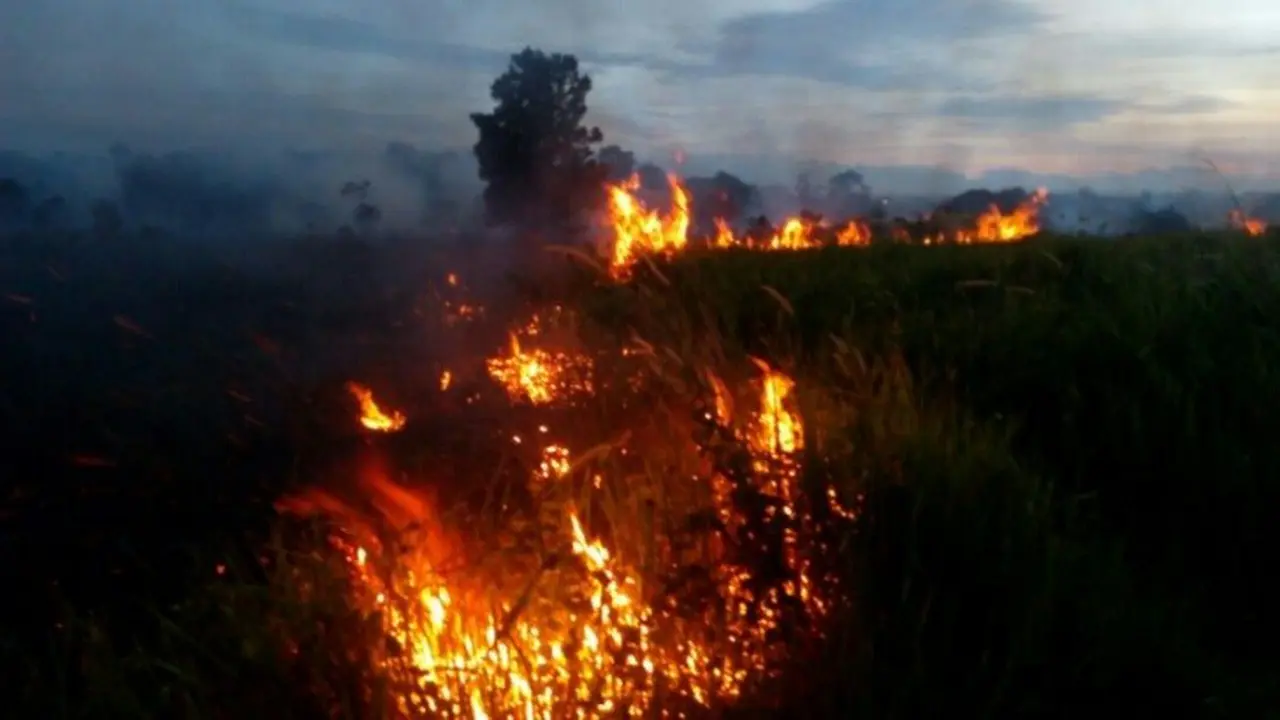 Kabut Asap Berbau Menyengat Selimuti Rokan Hilir Riau