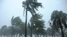 Pepohonan tampak ditiup Topan Mujigae di sebuah jalan di Zhanjiang, Provinsi Guangdong, China, Minggu (4/10/2015). Topan dengan kecepatan angin hingga 180 km per jam menghantam pantai selatan China dan menewaskan sedikitnya empat orang. (REUTERS/Stringer)