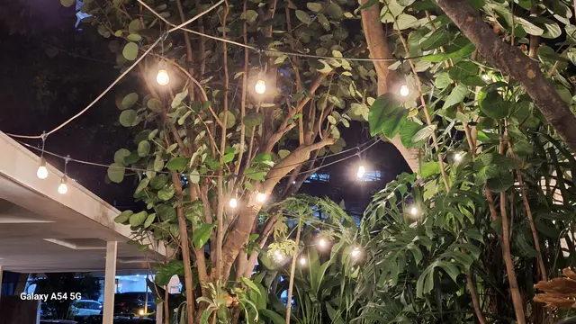 Hasil foto menggunakan Samsung Galaxy A54 5G (Liputan6.com/Giovani Dio Prasasti)