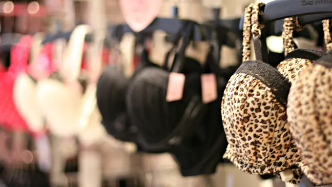 [Bintang] 8 Tipe Bra yang Kayaknya Semua Cewek Pernah Punya