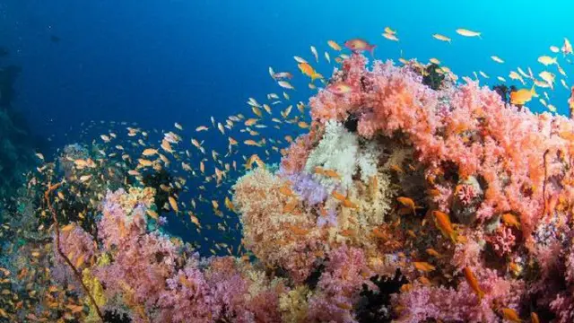 InterContinental Maldives Maamunagau Resort