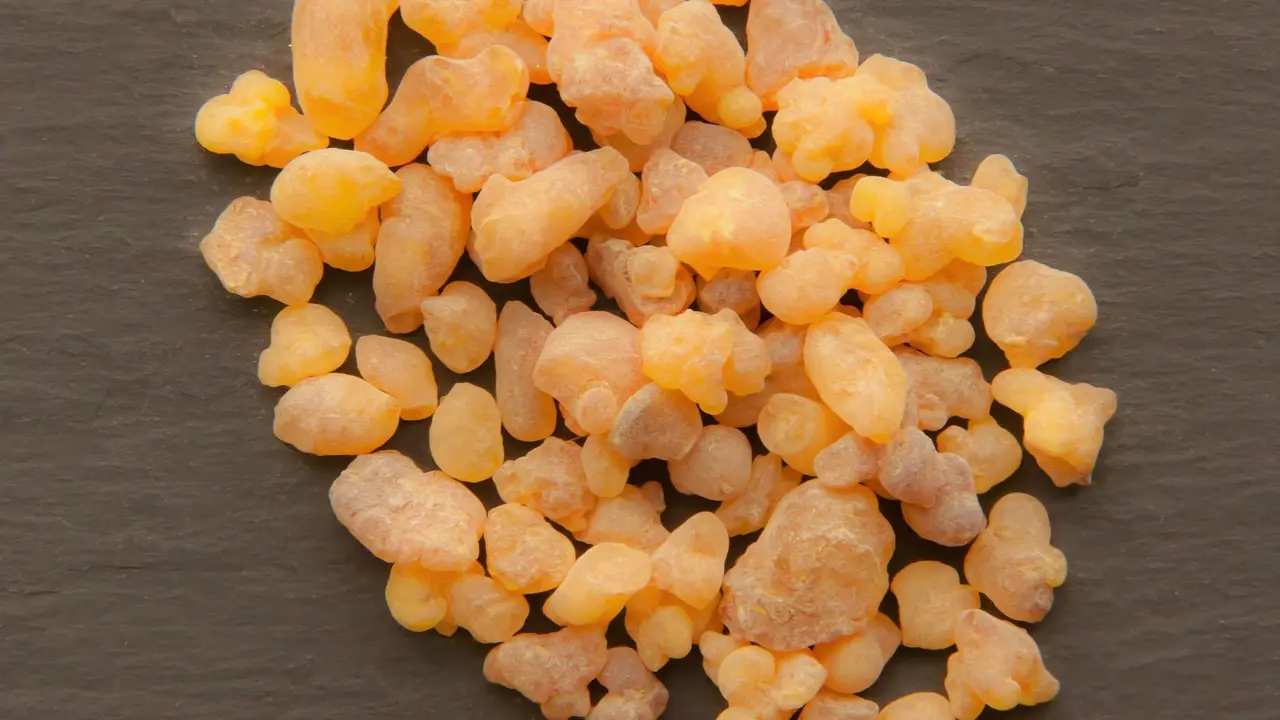 ilustrasi Frankincense Essential Oil/pixabay