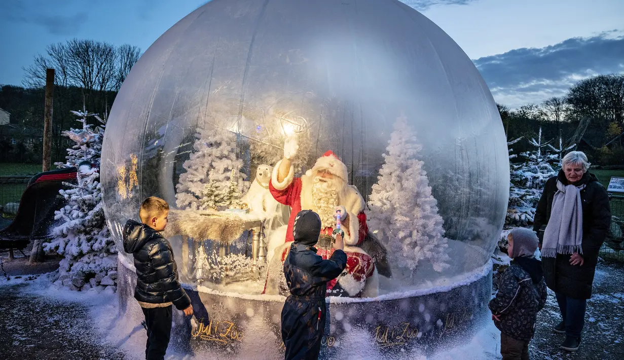 Seseorang yang berpakaian seperti Sinterklas terlihat dalam bola salju seukuran aslinya saat membuka musim Natal di Kebun Binatang Aalborg, di tengah krisis virus corona yang berlanjut, di Aalborg, Denmark pada Jumat (13/11/2020). (Henning Bagger / Ritzau Scanpix / AFP)