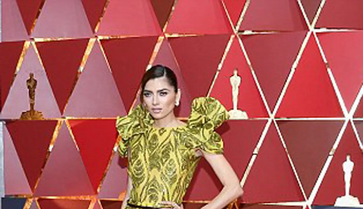 Hadir di ajang Oscar 2017 para aktor dan aktris tampil dengan maksimal. Terlihat  dari cara berpakaian yang mereka kenakan, baik gaya dan warnanya berhasil memikat orang-orang yang hadir saat itu. (doc.dailymail.com)