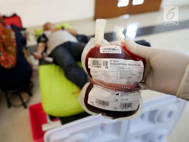 Pmi Makassar Sebut Banyak Darah Pendonor Yang Terinfeksi Hiv Aids