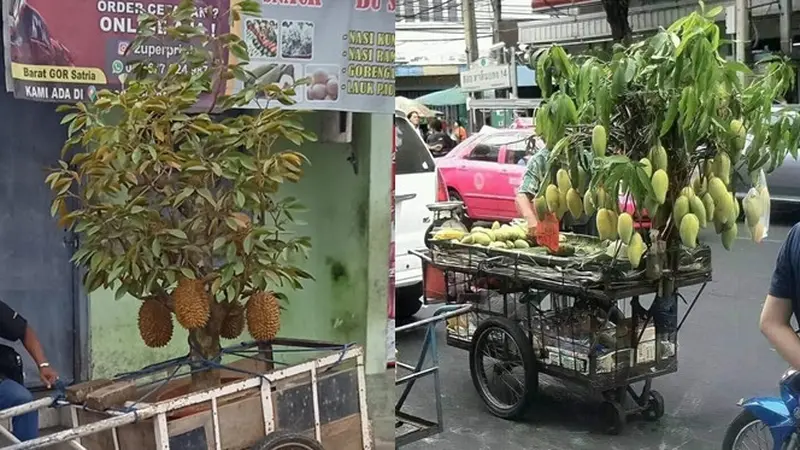 6 Cara Unik Orang Jualan Buah Ini Anti-mainstream, Nyeleneh Banget