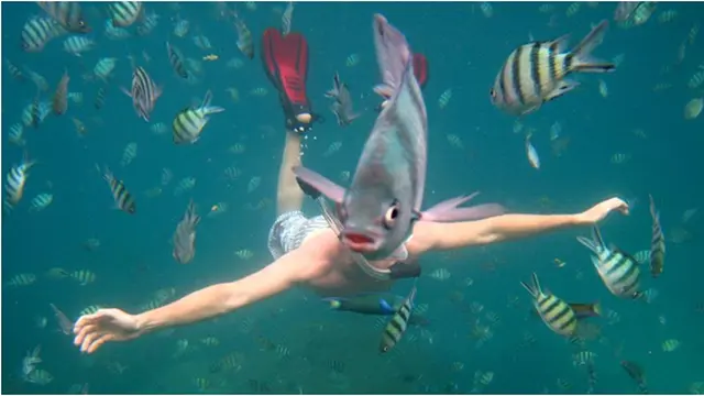 Courtesy Nick Kelly/National Geographic