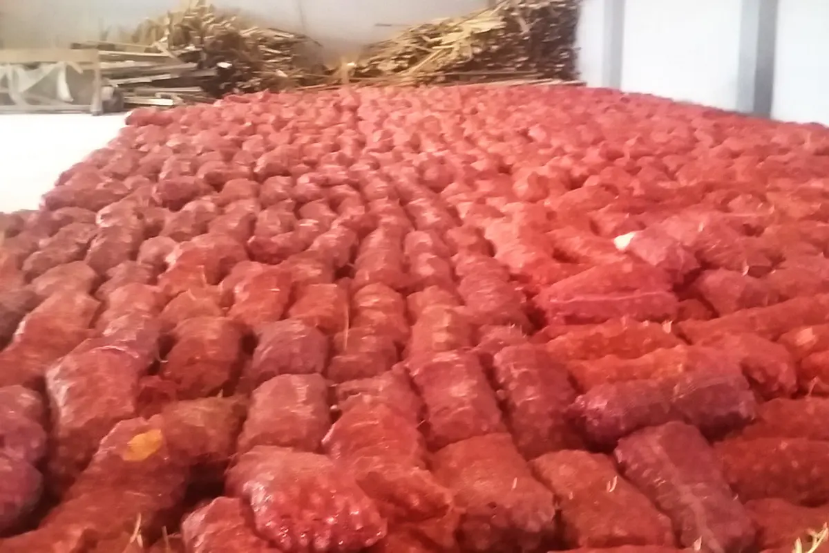 Penyelundupan bawang merah