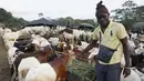Seorang pria berdiri dekat domba yang dijual untuk perayaan Idul Adha di sebuah pasar kawasan Abidjan, Pantai Gading, Jumat (17/8). Umat Islam di seluruh dunia akan merayakan Hari Raya Idul Adha yang identik dengan tradisi berkurban. (AFP/ISSOUF SANOGO)