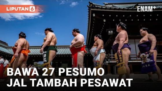 VIDEO: Bawa 27 Pesumo, Japan Airlines Terpaksa Tambah Pesawat karena Khawatir Kelebihan Beban