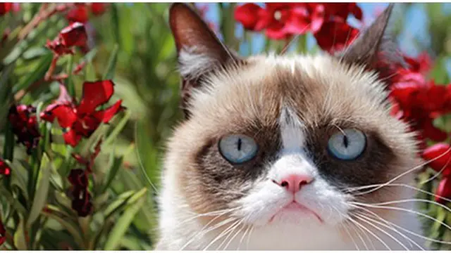 Foto: Copyright womansday.com